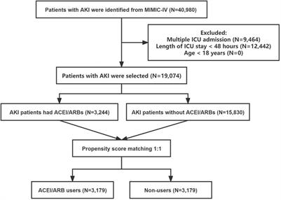 The effects of angiotensin-converting enzyme inhibitors and angiotensin II receptor blockers in critically ill patients with acute kidney injury: An observational study using the MIMIC database